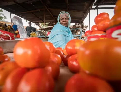 GB Foods to inject US$70 million into tomato production