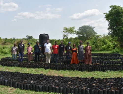 806 GASIP seedlings growers certified after 10-month intensive training