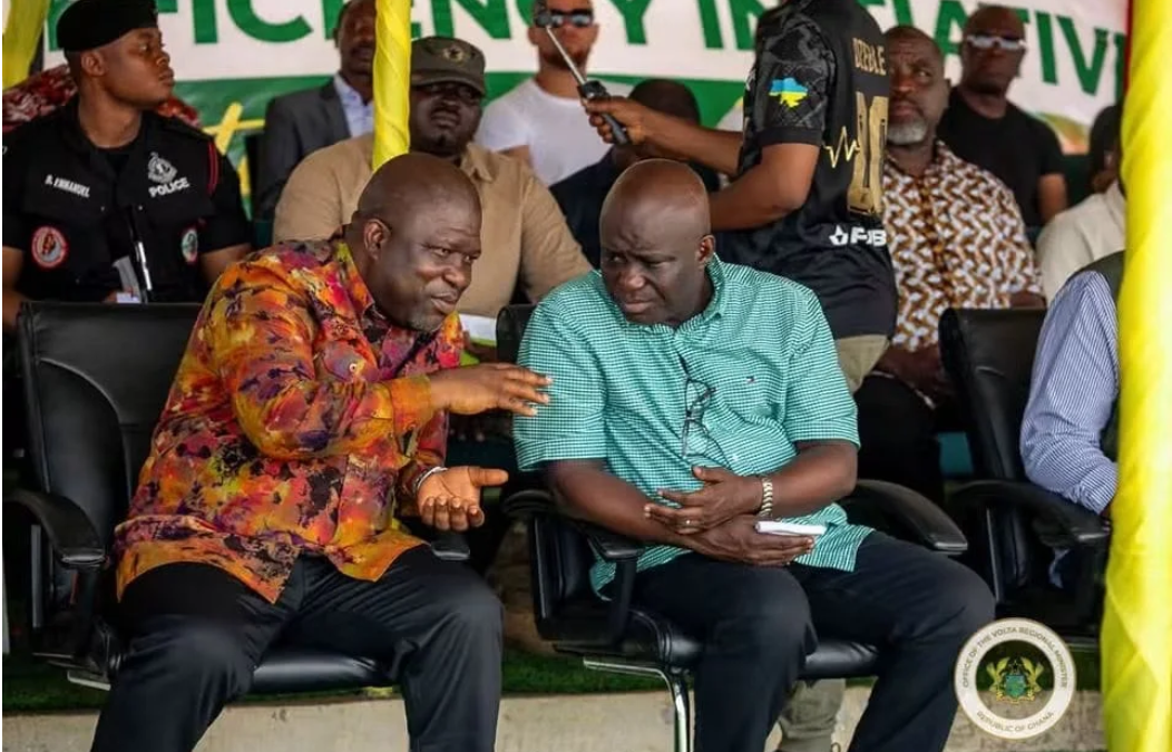 Volta has enormous agricultural potential – Regional Minister